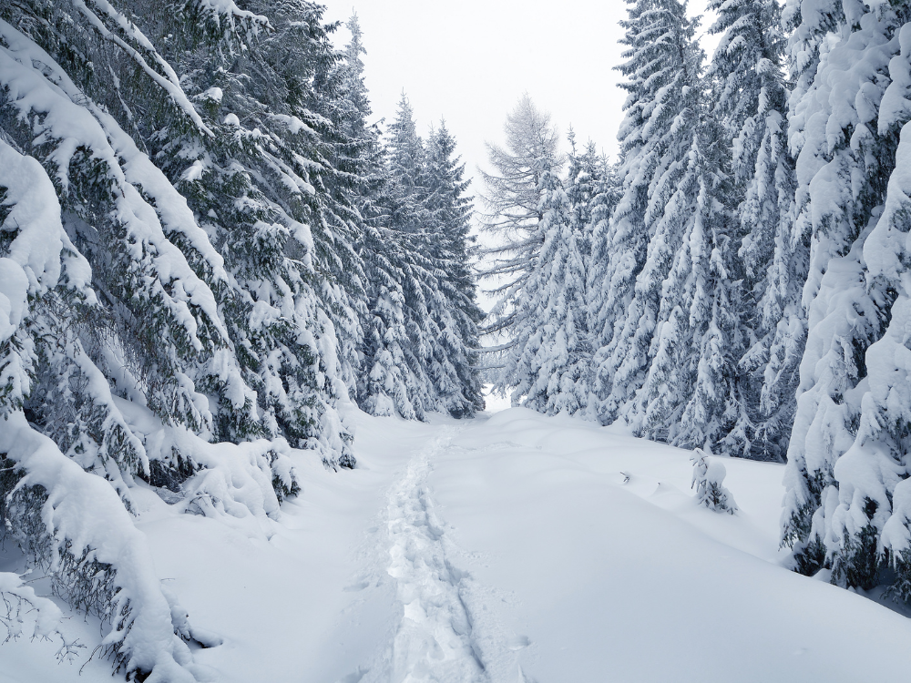 Best Easy Winter Hikes in the Northeast U.S.